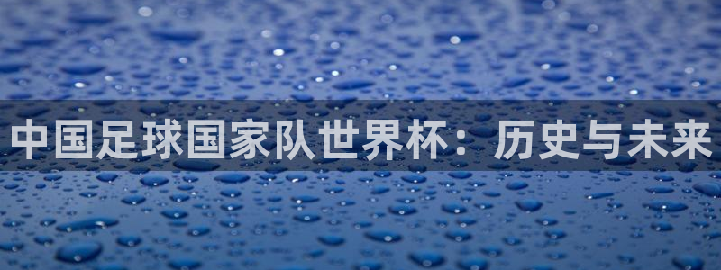世界杯足球:中国足球国家队世界杯:历史与未来