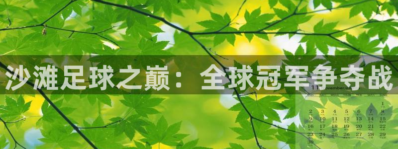 2026世界杯南美区积分榜:沙滩足球之巅:全球冠军争夺战