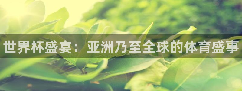 今年的世界杯:世界杯盛宴:亚洲乃至全球的体育盛事