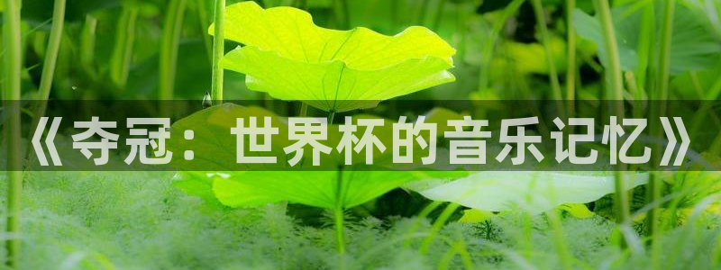 欧联杯直播:《夺冠:世界杯的音乐记忆》