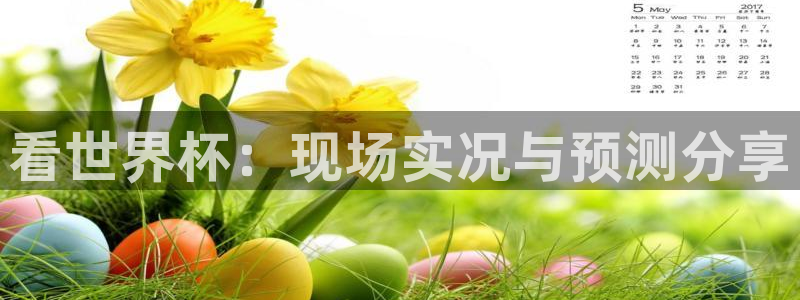世界杯足球:看世界杯:现场实况与预测分享