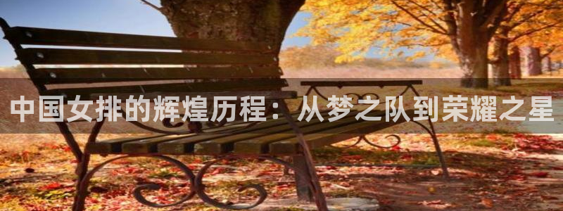 女足世界杯赛程:中国女排的辉煌历程:从梦之队到荣耀之星