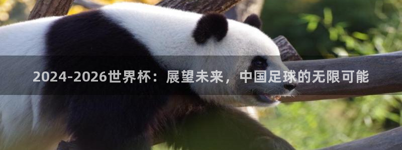 免费看足球直播比赛:2024-2026世界杯:展望未来,中国足球的无限可能