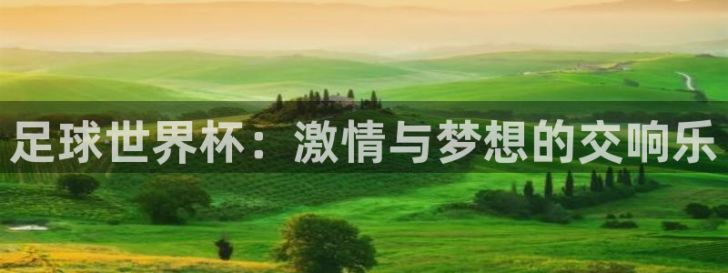 2026年男足世界杯:足球世界杯:激情与梦想的交响乐