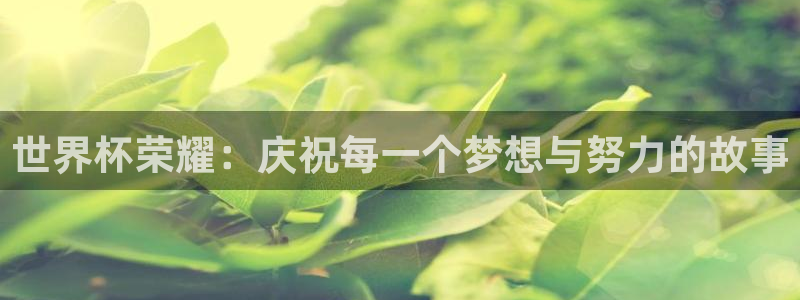 2026世界杯赛:世界杯荣耀:庆祝每一个梦想与努力的故事