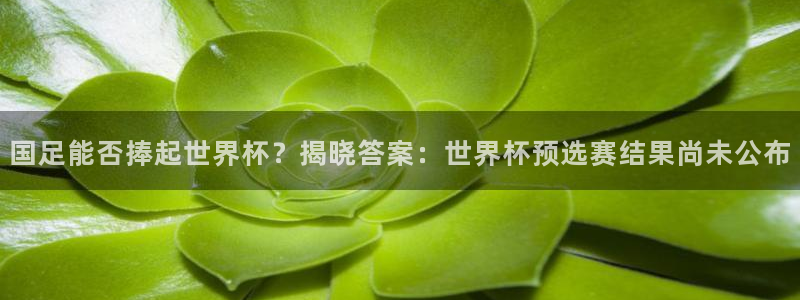 2026男足世界杯赛程:国足能否捧起世界杯?揭晓答案:世界杯预选赛结果尚未公布